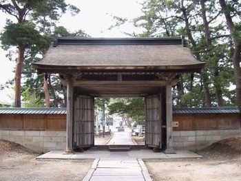 �V�����F�l�r����B�e�����摜�i�ʐ^�j