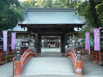 ���������{�F�؍Ȥ�������Ԉ�ˌ`��