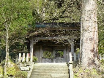 �i�����F�l�r����ʂ����摜