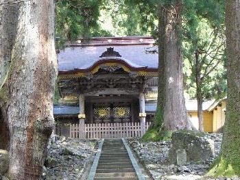 �i�����Q�F�l�r��̉摜�i�ʐ^�j