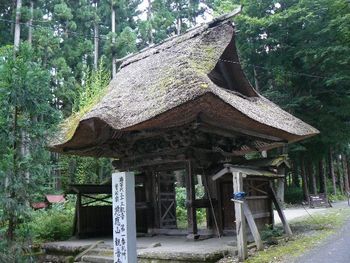 �ω����F�l�r��