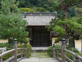 �T�����F�l�r��