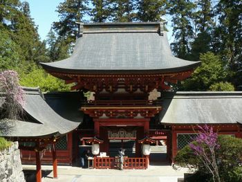 �ёO�_�ЁF�l�r��