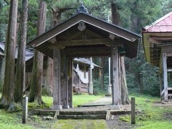 ���J��_���{�F�l�r��