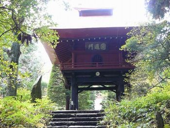 �������F�l�r��