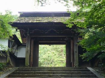 �菟���F�l�r��