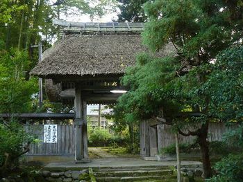 �������F�l�r��