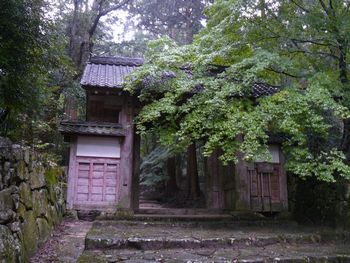 �S�ώ��F�l�r��̉摜