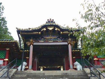 �v�\�R���Ƌ{�i����j�F�l�r��