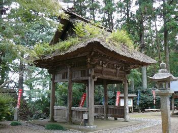 �q�����F�l�r��