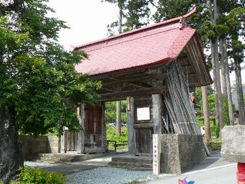 ���쎛�F�l�r��