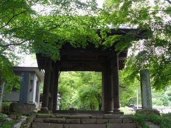 �������F�l�r��